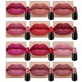 BINGBRUSH 12Pcs Mini Capsule Makeup Lipstick Set, Women Nude Brown Dark Red Matte Matt Lipsticks Cute Lip Stick Purse Set Labiales Matte Larga Duracion 24 (B-12 Pcs Mini Lipstick 01#, B)