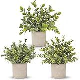 Der Rose 3 Pack Mini Potted Fake Plants Artificial Plastic Eucalyptus Plants Topiaries for Home Office Desk Farmhouse Shelf Room Bathroom Decor(Sage Green)