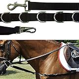 Intrepid International Horse Rein - Side Rein with Elastic and Stainless Steel Dees, 63-64in Adjustable Length, Nylon, Perfect for Equestrians, Horse Owners, and Lunging - ONE REIN