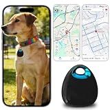 GPS Tracker for Dogs & Cats – Waterproof, Lightweight, Mini Real-Time Pet Locator with 1-Year Battery, No Subscription or SIM Required, Track History, iOS & Android Compatible Now 2026
