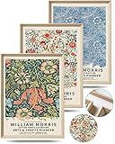 UPWOIGH Framed Wall Art, William Morris Wood Canvas Wall Art,16x12in Cotton Pattern Vintage Poster Wall Decor Aesthetic for Living Room Bedroom, Morris Art-framed-41, 16x12in