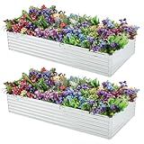 Meberam 2 Pack 6x3x1FT Galvanized Raised Garden Beds Kit Outdoor Metal Gardening Planter Box for Vegetable Elevated Flower Herbs,Silver