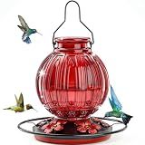 Glass Hummingbird Feeder for Outdoors Hanging, 26 fl oz Bird Nectar Feeder