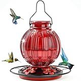 Glass Hummingbird Feeder for Outdoors Hanging, 26Oz Bird Nectar Feeder with Perch & 5 Flower Feeding Ports, Leak Proof for Outside Garden Decor Backyard, Gifts for Women Mom, Red