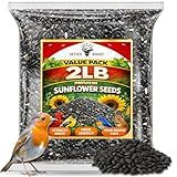 Office Roast Premium Black Sunflower Seeds – | 2 LB Bulk Value Pack | Natural Wild Bird Seed for Backyard Feeders, High-Energy Food for Songbirds