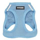 Best Pet Supplies Voyager Step-in Air Harness - All Weather Mesh, Reflective, No Pull Harness for Dogs, Cats - Secure with Hook & Loop Fastener, Buckle, Double D-Rings - Baby Blue, S