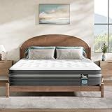 Queen Mattress 10 Inch, Hybrid Queen Mattress in a Box, Medium Firm Queen Size Bed Mattresses with Zoned Support, Memory Foam and Pocket Springs for Motion Isolation&Pressure Relief, CertiPUR-US