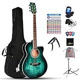 Winzz 40 Inches Acoustic Steel-string Guitar Beginner, Elegant Unique Color Design (Blue-green)