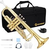 Eavnbaek Bb Standard Trumpet Instrument Brass Student Trompeta Trumpet Set