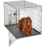 Midwest 42-Inch Single Door iCrate, for Large Breeds, 71-90 lbs