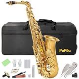 Alto Saxophone Student Beginner Eb Saxophone Kit