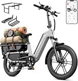 SISIGAD Family Electric Bike with Seat - Peak 1500W Motor, 20" Fat Tire Cargo Ebike, 48V 15Ah Removable Battery E Bike,Dual Hydraulic Brakes,LCD&APP Control,7-Speed,Step-Thru Electric Bicycle