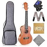 Ranch Concert Ukulele - Ukelele 23" Beginner Professional Kit with 12 Online Lessons, Gig Bag, Tuner, Strap, Aquila Strings Set