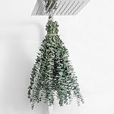 10 Pcs Dried Eucalyptus Stems 17" Real Eucalyptus for Shower Hanging