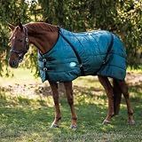 Country Pride Sentinel Channel Quilt Horse Stable Blanket, Midweight Open Front, 420D Nylon Outer Shell, 250g Poly-Fill Insulation, Wither Protection, Adjustable Leg Straps, Bias Surcingle (80,Green)