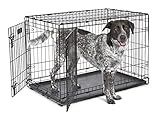 MidWest Homes for Pets 36-Inch iCrate for Medium-Large Breeds, 41-70 lbs, Double Door Folding Dog Crate with Divider Panel, Leak-Proof Tray & Secure Latches, Portable, Durable & Easy to Assemble