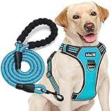 tobeDRI No Pull Dog Harness Adjustable Reflective Oxford Easy Control Medium Large Dog Harness with A Free Heavy Duty 5ft Dog Leash (L (Neck: 18"-25.5", Chest: 24.5"-33"), Blue Harness+Leash)