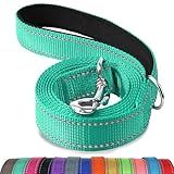 Joytale Dog Leash, 6 FT Double-Sided Reflective, Padded Handle Nylon Heavy Duty Leashes for Medium & Large Dogs Walking, Teal, 6FT