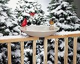 API® Heated Bird Bath | Heated BirdBath with Stand or Deck Mount | Outdoor Bird Bath for Winter and All Seasons | 150 Watt | Made in USA (Bird Bath with Deck Mount, 1, Count)