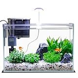 3 Gallon Glass Small Fish Tank, Betta Fish Tank Starter Kit with Filter, Lights,Lid.