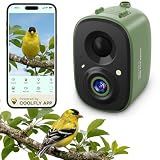 Smart Bird Camera Only, for Bird Feeder/Bath/House Bird Watching Live, 2.4G