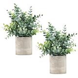 Coferset 2 Pack Small Fake Plants Eucalyptus Potted,Sage Green
