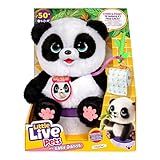 Little Live Pets My Baby Talking Panda ChuChu, Cuddly Panda Toy Plush with 50+ Sounds, Potty Dance, Kick, Feed, Kids Interactive Animal Toys Ages 4+
