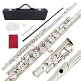 WUQIMUSC 16 Key Closed Hole C Flute Instrument - Student Flute for Beginners, Easy to Play with Durable Design, Carrying Case, Cleaning Kit, Gloves, Perfect for Learning(Silver)