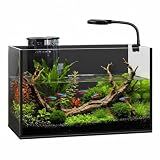 2 Gallon Small Fish Tank with Light and Filter Desktop Aquarium Starter Kit