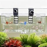 BaoZqua Triple-Chamber Aquarium Fish Breeder & Isolation Box, Transparent Hatching Incubator Tank with Suction Cups & Hook, Nursery for Livebearer Guppy Fry Breeding and Betta Fish, Shrimp Quarantine