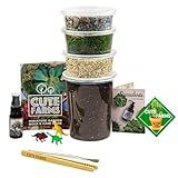 Cute Farms Terrarium Starter Kit | Moss, Vermiculite, Soil, Pebbles, Plant Food, Finishing Tools, Build and Care Guide | DIY Succulent Terrarium for Adults and Kids (Large)