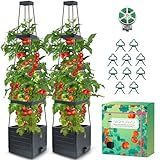 MQHUAYU 2-Pack Tomato Planter with Trellis, 57" Self-Watering Raised Garden Bed Planter Box, Tomato Cages for Indoor & Outdoor Climbing Plants, Vines, Vegetables, and Flowers (57x9.8x9.8IN)