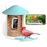 NETVUE by Birdfy Smart Bird Feeder with Camera, Bird Watching Camera, Auto Capture Video & Motion Detection, 1080P Live Steam, Cardinal Feeder Outdoor Wireless, Ideal Present for Backyard Birder, Blue