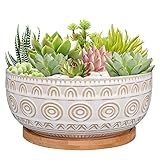 Eightpot 8 Inch Ceramic Succulent Planter Pot with Drainage Hole and Saucer Round Shallow Planter for Indoor Plants, White