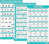 Vive Workout Posters for Home Gym (3 Pack) - Bodyweight, Yoga Poses
