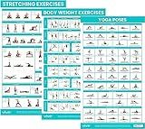Vive Workout Posters for Home Gym (3 Pack) - Bodyweight, Yoga Poses, Stretching Exercises - Home Equipment Accessories Fitness Guide Chart Motivation Sequence for Women, Men, Kids - Laminated, Colored