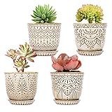 Gepege Succulent Pots, 4 Inch Small Indoor Ceramic Planter Pot with Drainage Holes and Saucers for Plants- Creamy White - Set of 4