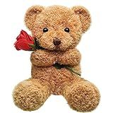 Civaner Bear Stuffed Animal Gift with Rose Funny Cute Bear Stuffed Animal Plush Gift for Mother Girlfriend Birthday Wedding, 11.8 Inches(Beige)