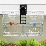 BaoZqua Dual-Chamber Aquarium Fish Breeder & Isolation Box, Transparent Hatching Incubator Tank with Suction Cups & Hook, Nursery for Livebearer Guppy Fry Breeding and Betta Fish, Shrimp Quarantine
