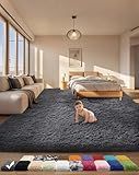 Ophanie Area Rugs for Bedroom Living Room, Grey Fluffy Fuzzy Shag Shaggy Soft Plush Carpet, 4x6 Indoor Floor Gray Rug for Kids Home Dorm Decor Aesthetic