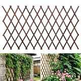Expandable Garden Trellis, 38"x89" Trellis for Climbing Plants Outdoor 1Pcs