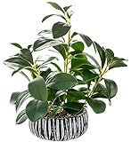 AlphaAcc Artificial Plants Decor Greenery Fake Succulents Indoor Potted Fake Plant with Rustic Black Clay Planter for Home Decor Farmhouse Room Bathroom Bedroom Kitchen Office Table Decor