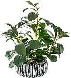AlphaAcc Fake Plants Potted Artificial Succulents Home Office Decor