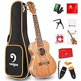 Ukulele Concert Mahogany Bundle 23 inch Ukelele for Beginners Adults Professional Four String Wooden Hawaiian Starter Uke Kit, by Vangoa