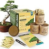 Bonsai Starter Kit - Gardening Easter Gift for Women & Men - Bonsai Tree Growing Garden Crafts Hobby Kits for Adults, Unique DIY Hobbies for Plant Lovers - Unusual Christmas Gifts Ideas