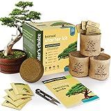 Bonsai Starter Kit - Gardening Easter Gift for Women & Men - Bonsai Tree Growing Garden Crafts Hobby Kits for Adults, Unique DIY Hobbies for Plant Lovers - Unusual Christmas Gifts Ideas