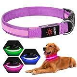 Dolitego LED Dog Collar USB Rechargeable - Light Up Dog Collar Safety Pet Collars with Lights for Night Walking, Camping (Pink, L)
