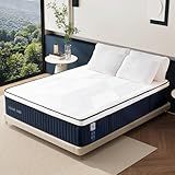 Queen Mattress, DIGLANT 14Inch Euro Top Memory Foam Hybrid Mattress, Medium Plush Feel Pocket Springs Queen Size Mattress for Pressure Relief, Edge Support Mattress in Box, CertiPUR-US, 60"*80"