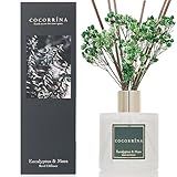 Cocorrína Reed Diffuser Sets- Eucalyptus & Moss Scented Diffuser with Sticks Home Fragrance Reed Diffuser for Bathroom Shelf Decor