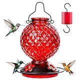 Tegarbed 25 OZ Glass Hummingbird Feeder for Outdoors, Leak Proof Hummingbird Feeder with Ant Moat, 4 Bee Resistant Feeding Ports, Easy Clean Wide Mouth Design, 360° Perch, Hanging Nectar Feeder, Red
